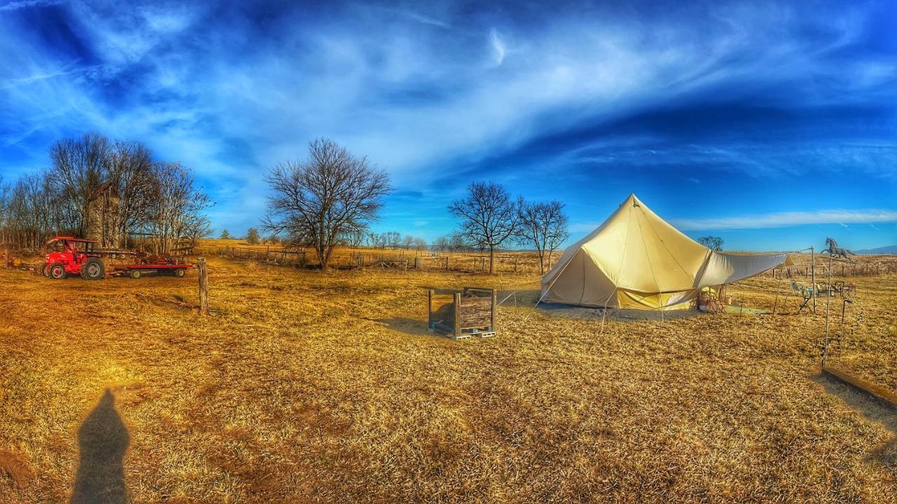 Shenandoah Valley Glamping - Amazing Views - Farm Edinburg Exterior photo